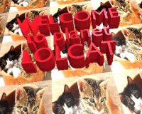 welcome-to-planet-lolcat.jpg