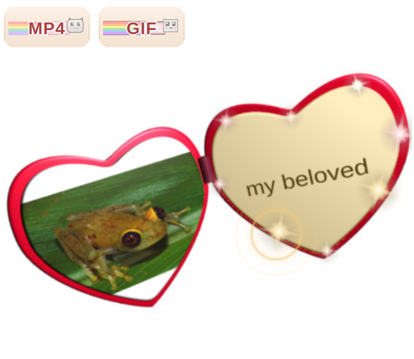 after tapping play: two new buttons appear, labeled MP4 and GIF